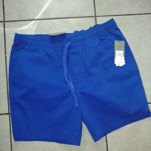 Goodfellow & Co Cobalt Blue Drawstring Shorts